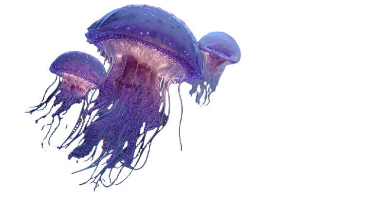 Fantasy Jellyfish Shore Vinyl Car Decal Sticker – Waterproof & UV-Resistant 