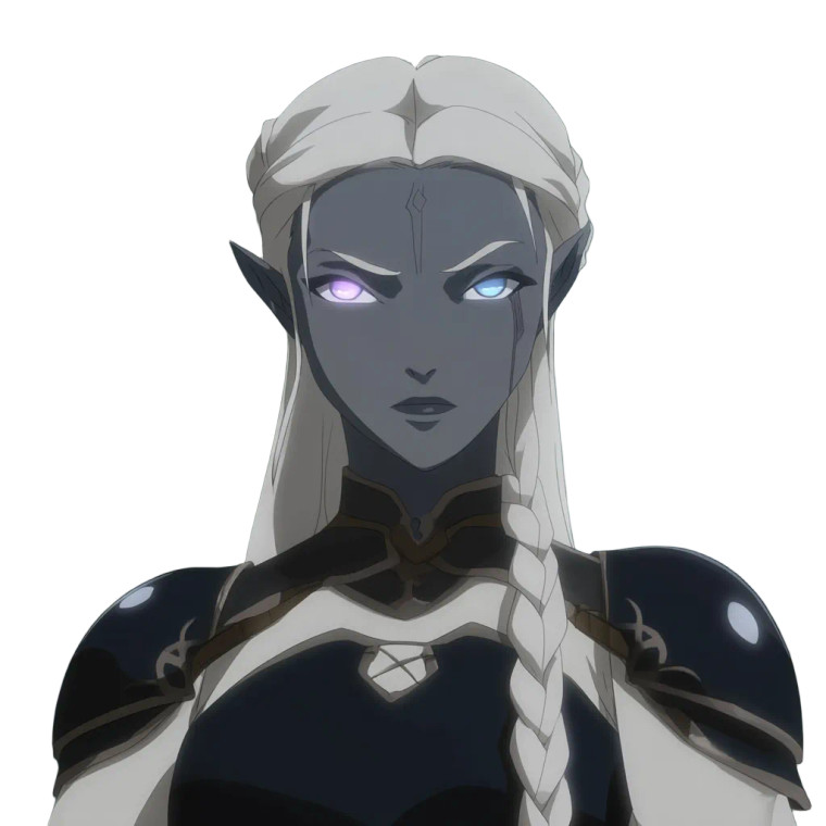 Drow Elf Paladin V3 Vinyl Car Decal Sticker – Waterproof & UV-Resistant 