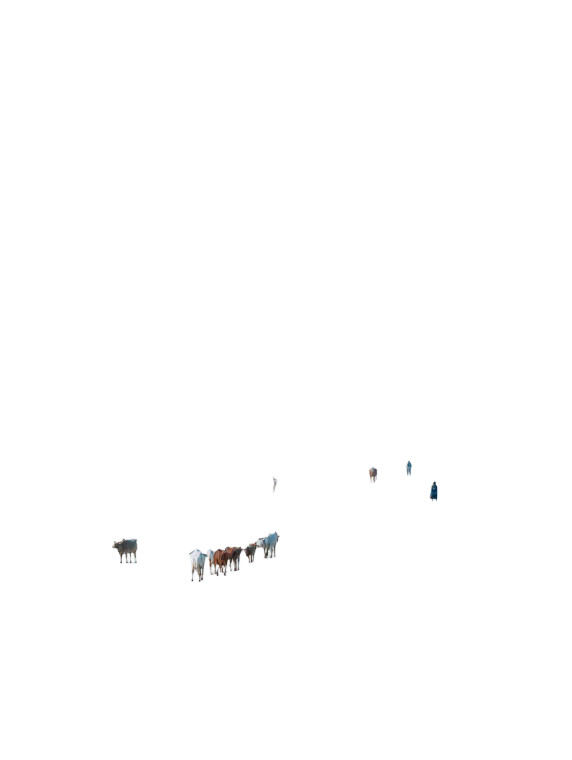 Desert Wanderers Vinyl Car Decal Sticker – Waterproof & UV-Resistant 