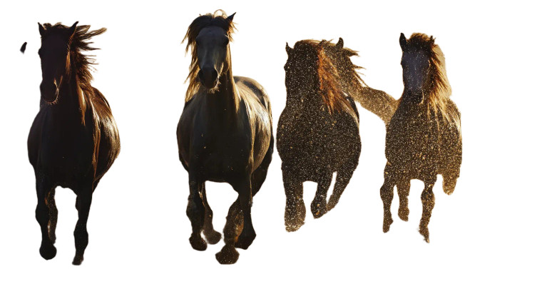 Running Horses V3 Vinyl Car Decal Sticker – Waterproof & UV-Resistant 