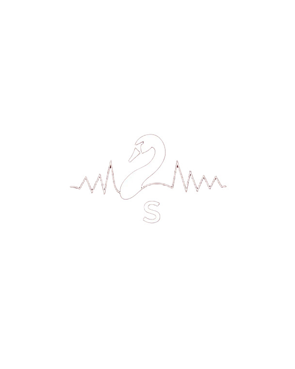 Swan Audio Logo Vinyl Car Decal Sticker – Waterproof & UV-Resistant 
