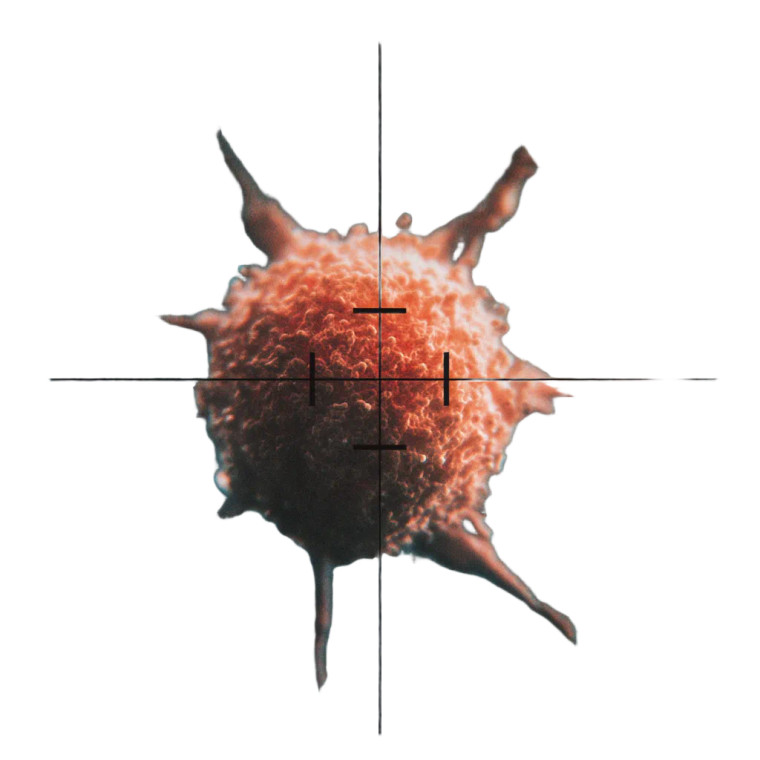 Targeting Cancer Cell Vinyl Car Decal Sticker – Waterproof & UV-Resistant 