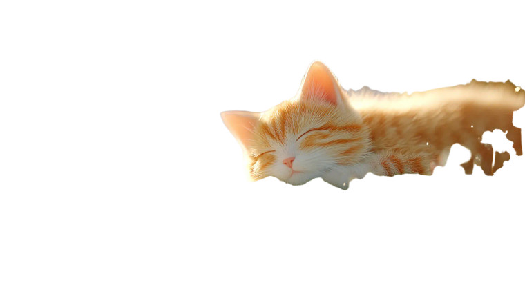Sleeping Ginger Kitten V2 Vinyl Car Decal Sticker – Waterproof & UV-Resistant 