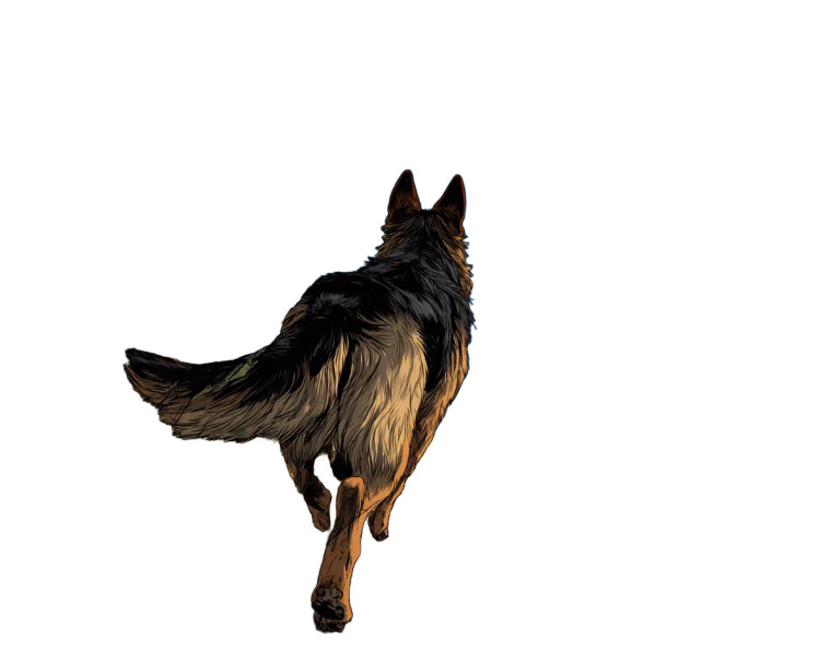 German Shepherd Running V2 Vinyl Car Decal Sticker – Waterproof & UV-Resistant 