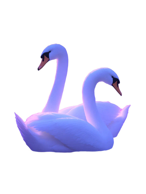 Magical Swans In Love Vinyl Car Decal Sticker – Waterproof & UV-Resistant 