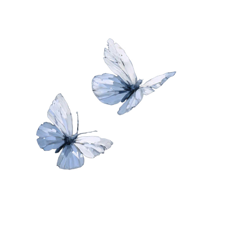 White Butterfly Silhouettes Vinyl Car Decal Sticker – Waterproof & UV-Resistant 