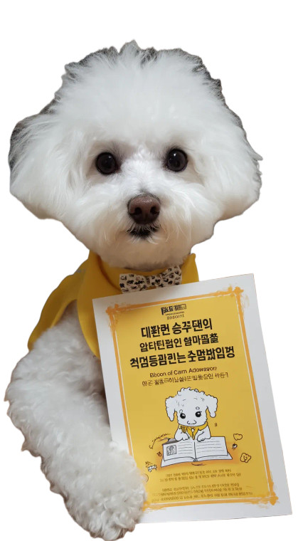 Bichon With Poster Vinyl Car Decal Sticker – Waterproof & UV-Resistant 