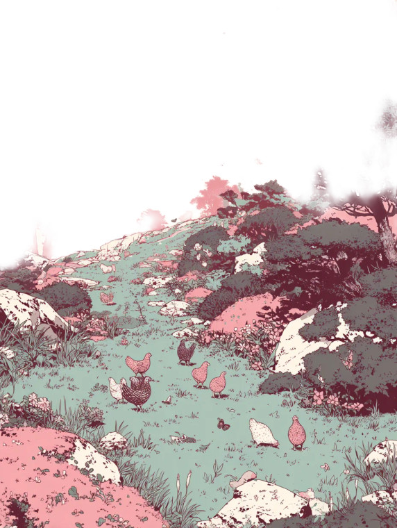 Chickens In Garden Vinyl Car Decal Sticker – Waterproof & UV-Resistant 