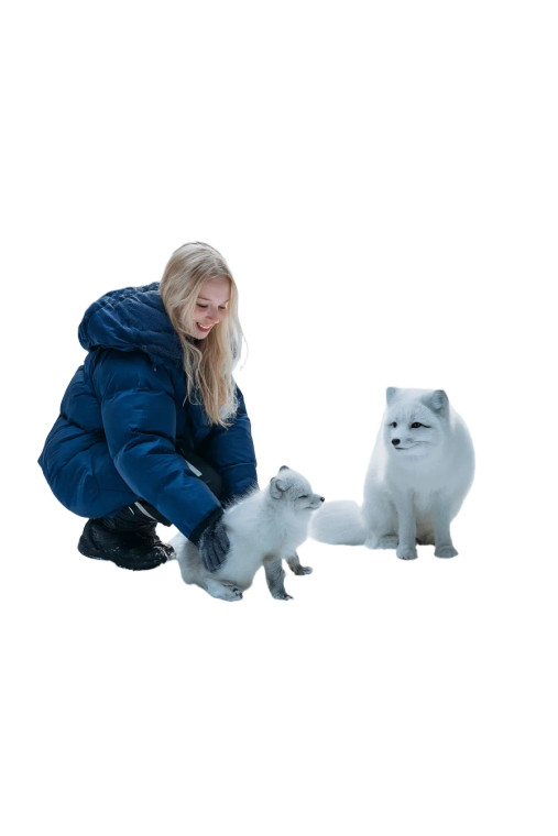 Winter Fox Encounter Vinyl Car Decal Sticker – Waterproof & UV-Resistant 