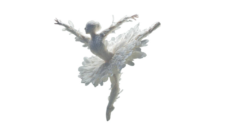Feather Ballet Dancer Vinyl Car Decal Sticker – Waterproof & UV-Resistant 