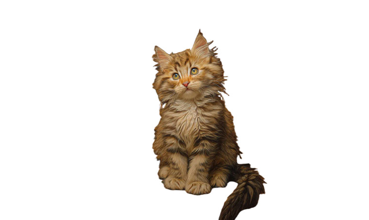 Fluffy Bartender Kitten Vinyl Car Decal Sticker – Waterproof & UV-Resistant 
