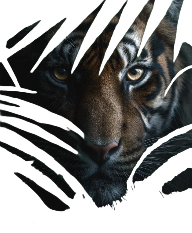 Intense Tiger Gaze V3 Vinyl Car Decal Sticker – Waterproof & UV-Resistant 