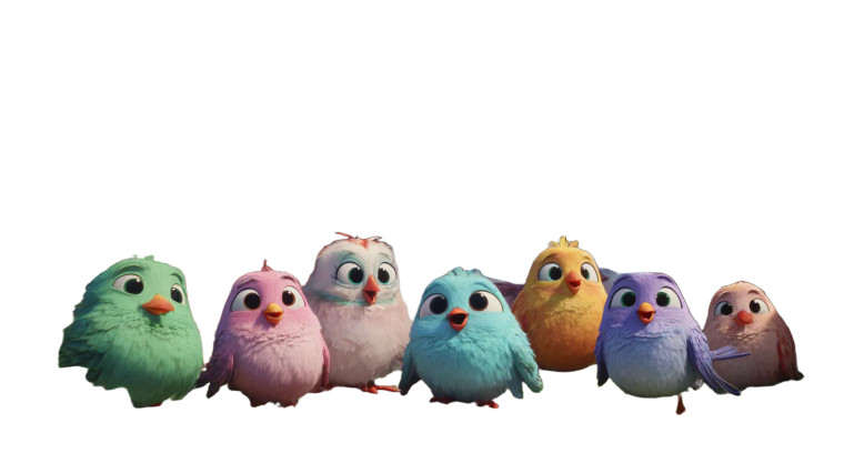 Colorful Pixar Birds Vinyl Car Decal Sticker – Waterproof & UV-Resistant 