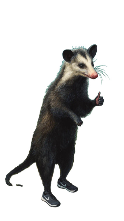 Exhausted Cartoon Opossum Vinyl Car Decal Sticker – Waterproof & UV-Resistant 