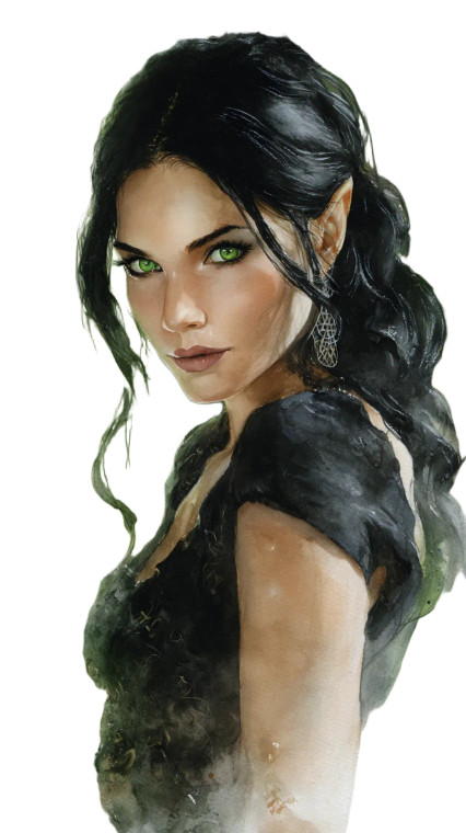 Half Elf Portrait Vinyl Car Decal Sticker – Waterproof & UV-Resistant 