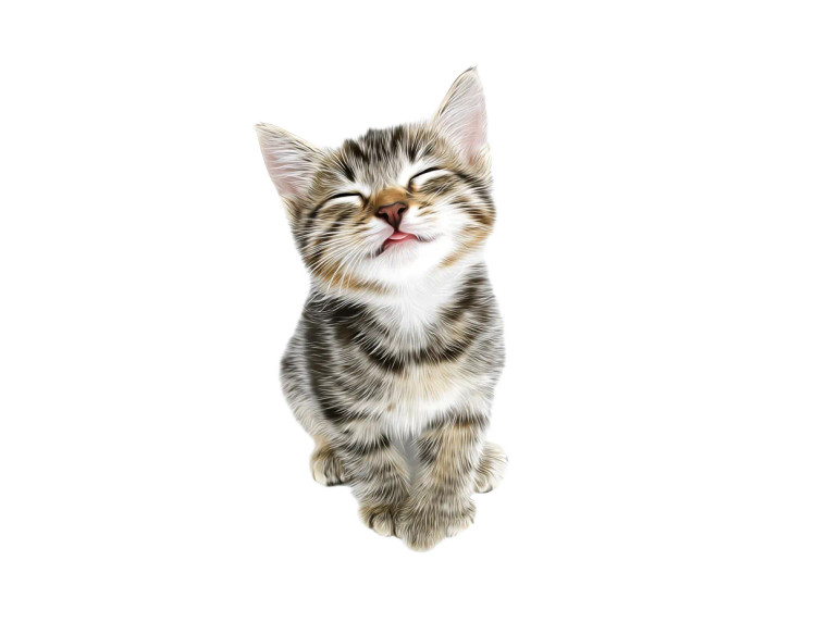 Happy Sweet Cat Vinyl Car Decal Sticker – Waterproof & UV-Resistant 
