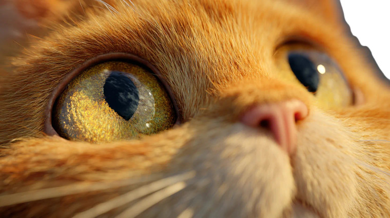 Orange Cat Gaze Vinyl Car Decal Sticker – Waterproof & UV-Resistant 