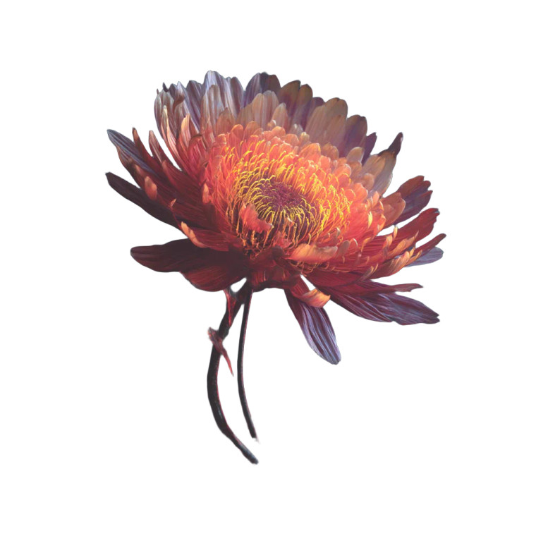Surreal Flower Edm V3 Vinyl Car Decal Sticker – Waterproof & UV-Resistant 