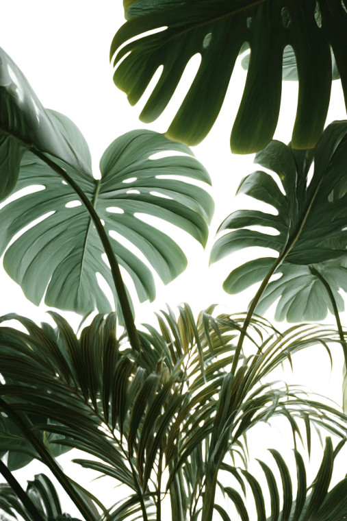 Large Leaf Plants Vinyl Car Decal Sticker – Waterproof & UV-Resistant 