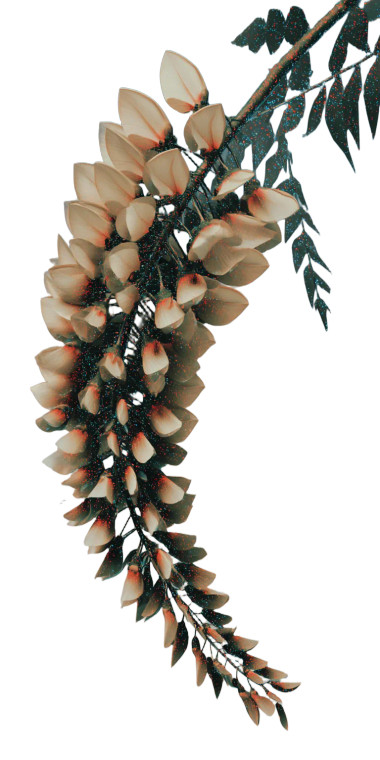 Wisteria Sprig Vinyl Car Decal Sticker – Waterproof & UV-Resistant 