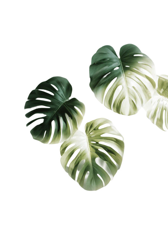 Monstera Leaves V2 Vinyl Car Decal Sticker – Waterproof & UV-Resistant 