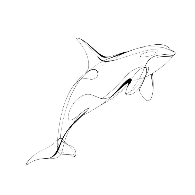Minimalist Orca Drawing Vinyl Car Decal Sticker – Waterproof & UV-Resistant 