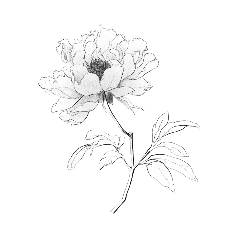 Chinese Peony Drawing Vinyl Car Decal Sticker – Waterproof & UV-Resistant 