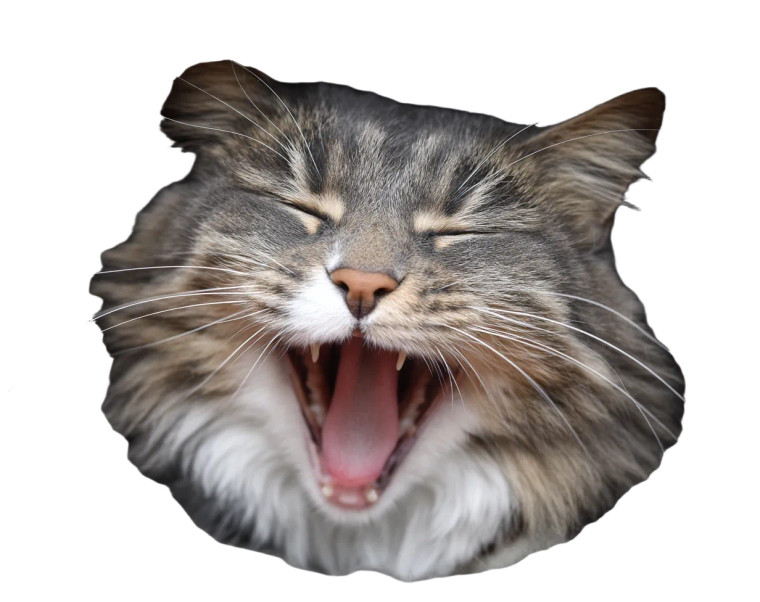 Happy Yawning Cat Vinyl Car Decal Sticker – Waterproof & UV-Resistant 