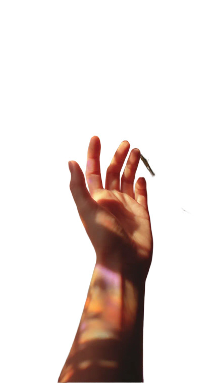 Delicate Hand Reaching Vinyl Car Decal Sticker – Waterproof & UV-Resistant 