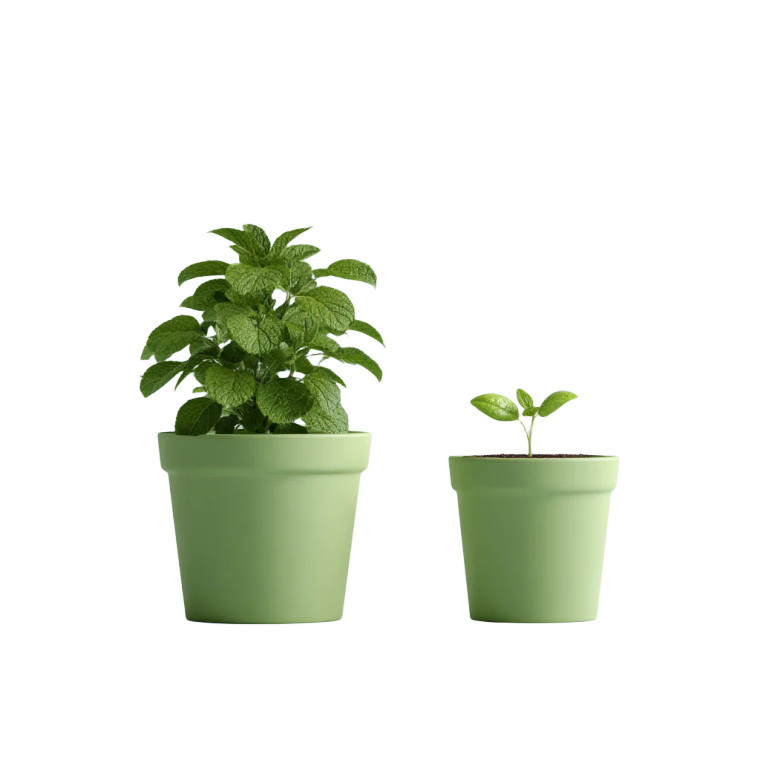 Green Flower Pots Vinyl Car Decal Sticker – Waterproof & UV-Resistant 