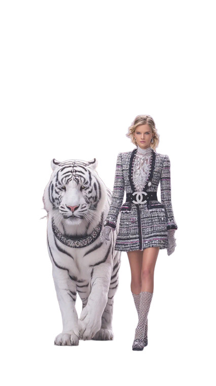 Fashion Model & Tiger Vinyl Car Decal Sticker – Waterproof & UV-Resistant 