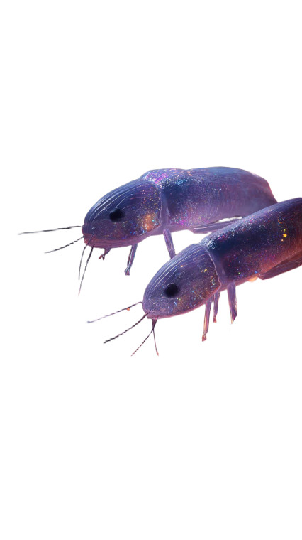 Crystal Cave Creatures Vinyl Car Decal Sticker – Waterproof & UV-Resistant 