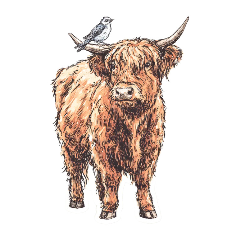 Highland Cow Sticker V3 Vinyl Car Decal Sticker – Waterproof & UV-Resistant 