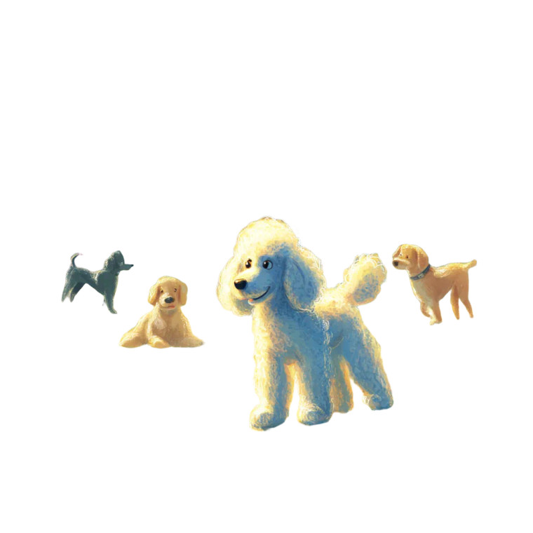 Sad Poodle Puppy V2 Vinyl Car Decal Sticker – Waterproof & UV-Resistant 