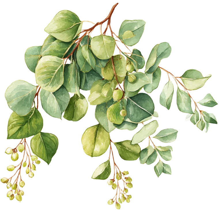 Eucalyptus Arrangement Vinyl Car Decal Sticker – Waterproof & UV-Resistant 