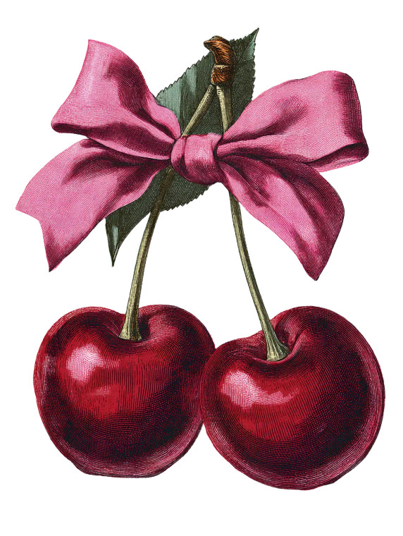 Cherries With Bow Vinyl Car Decal Sticker – Waterproof & UV-Resistant 
