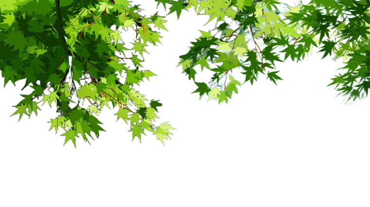 Green Maple Leaf Vinyl Car Decal Sticker – Waterproof & UV-Resistant 