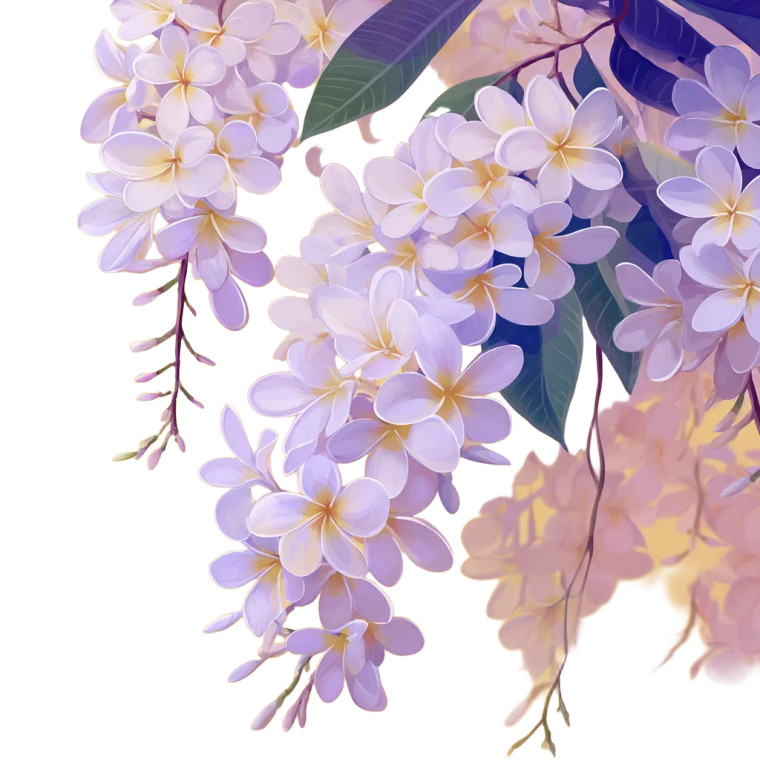 White Thai Plumeria Vinyl Car Decal Sticker – Waterproof & UV-Resistant 
