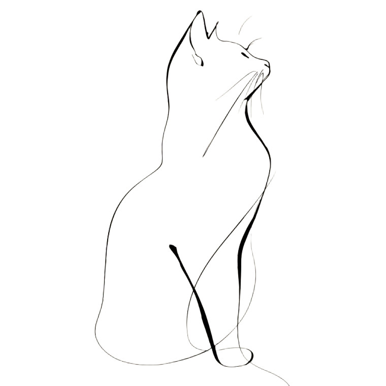 Minimalistic Cat Drawing Vinyl Car Decal Sticker – Waterproof & UV-Resistant 
