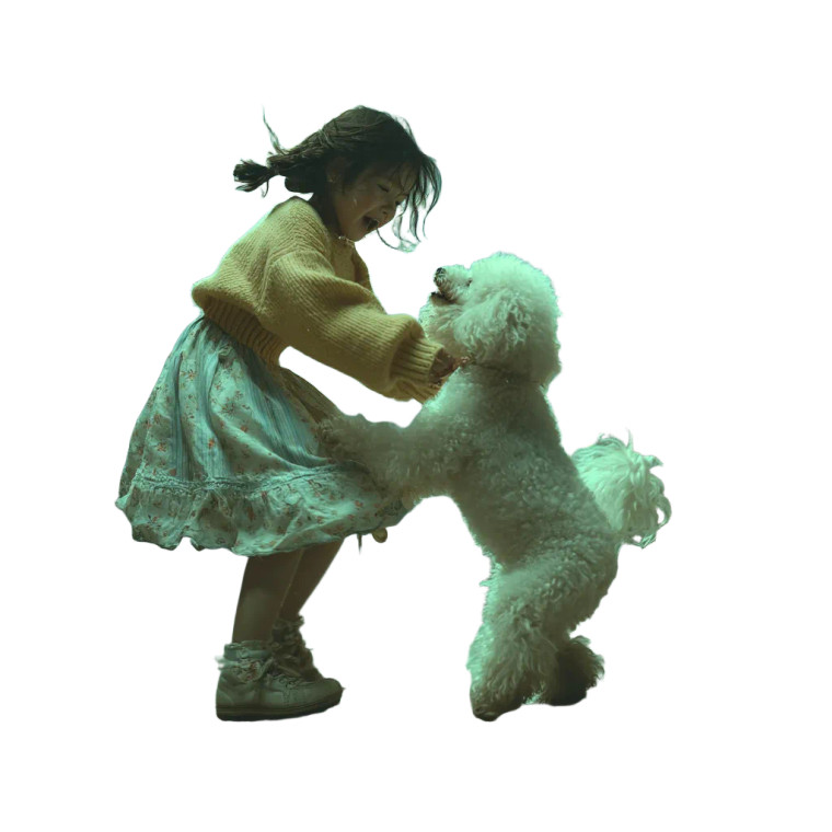 Dancing Girl Poodle Vinyl Car Decal Sticker – Waterproof & UV-Resistant 