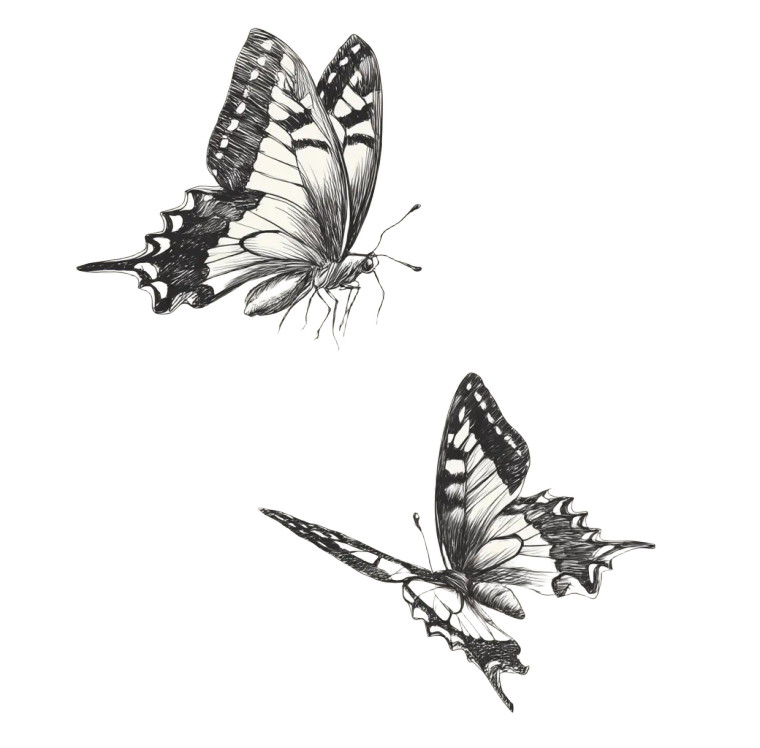 Flying Butterflies Vinyl Car Decal Sticker – Waterproof & UV-Resistant 