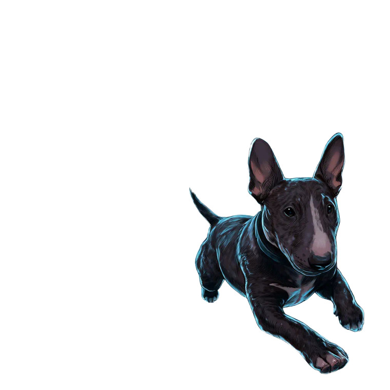 Space Portal Dog Vinyl Car Decal Sticker – Waterproof & UV-Resistant 