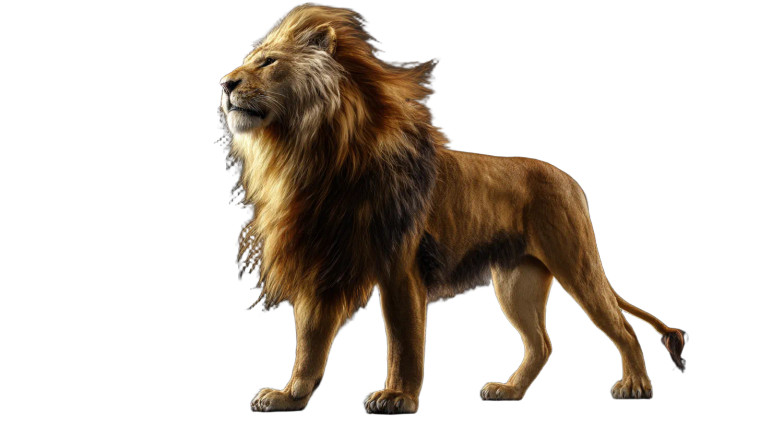 Majestic Lion V11 Vinyl Car Decal Sticker – Waterproof & UV-Resistant 