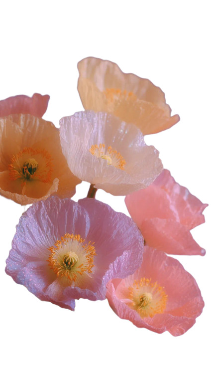 Spring Floral Elegance Vinyl Car Decal Sticker – Waterproof & UV-Resistant 