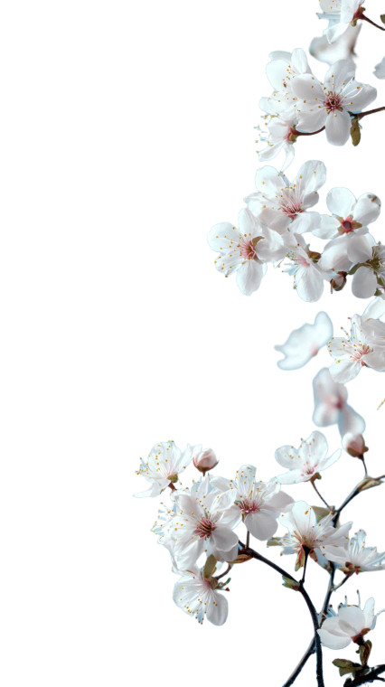 Blossoming Apple Branches Vinyl Car Decal Sticker – Waterproof & UV-Resistant 