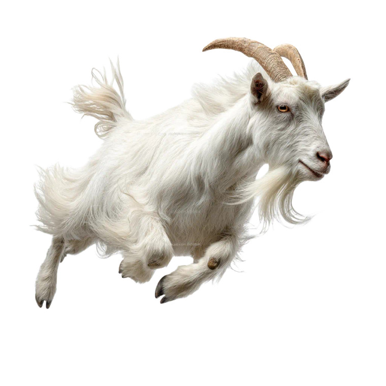 Leaping Saanen Goat Vinyl Car Decal Sticker – Waterproof & UV-Resistant 