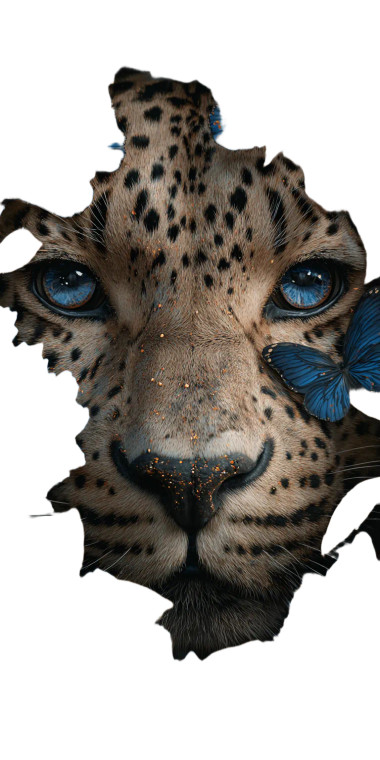 Leopard'S Portrait Vinyl Car Decal Sticker – Waterproof & UV-Resistant 
