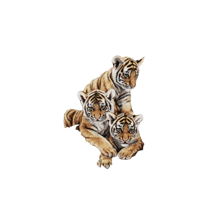 Tiger Cubs Tattoo Vinyl Car Decal Sticker – Waterproof & UV-Resistant 