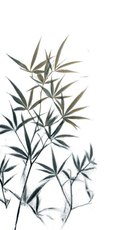 Minimalist Botanical Leaves Vinyl Car Decal Sticker – Waterproof & UV-Resistant 