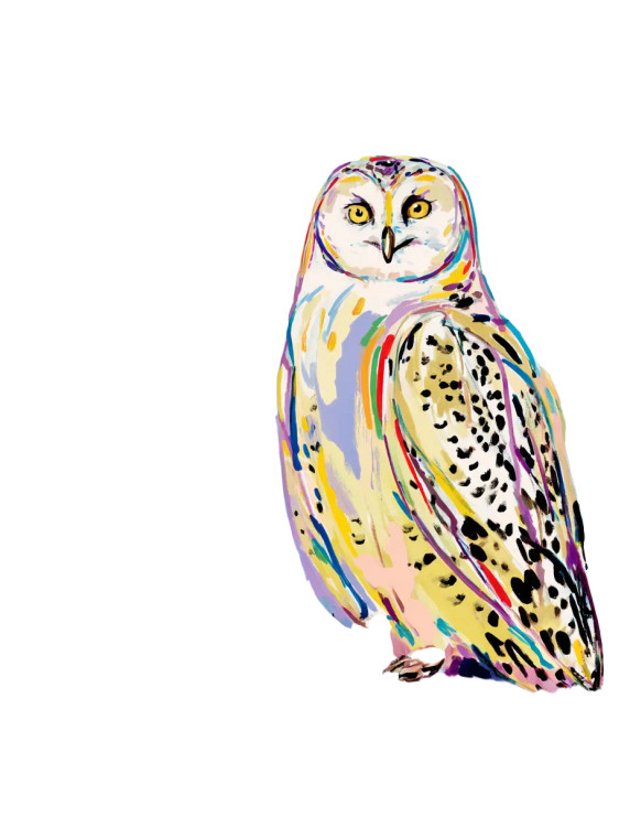 Owl And Mouse Vinyl Car Decal Sticker – Waterproof & UV-Resistant 